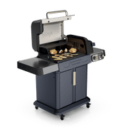 Ninja™ FlexFlame™ Grill and Smoker in Green